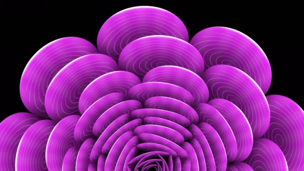 Pink flower. Petals with an unusual animated pattern. — Stock Video