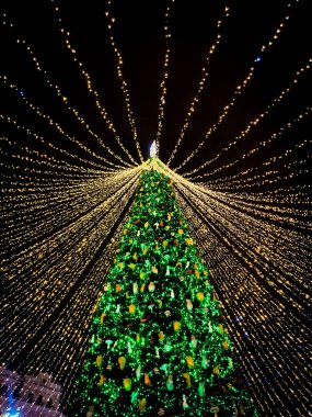 Citi merkezinde Noel ağacı