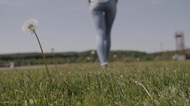 Une fille libre marche pieds nus sur l'herbe sur le fond d'une fleur — Video