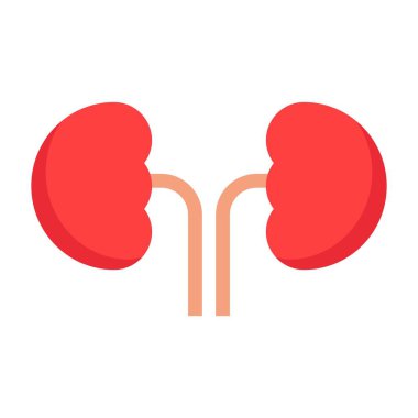 böbrek düz clipart vektör çizimi