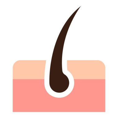 cilt kılı düz clipart vektör çizimi