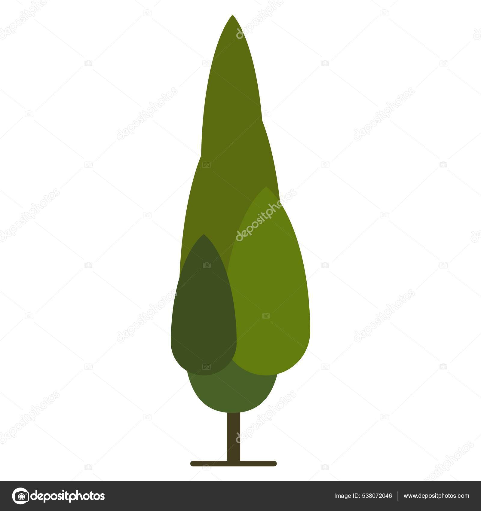 Cypress Tree Clipart