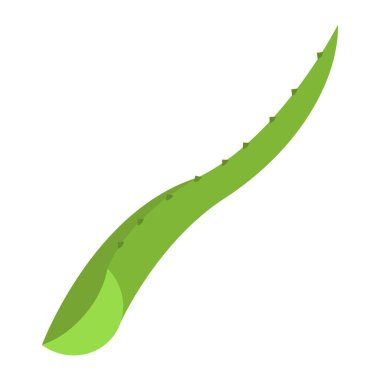 aloe vera düz clipart vektör illüstrasyonunu dilimler