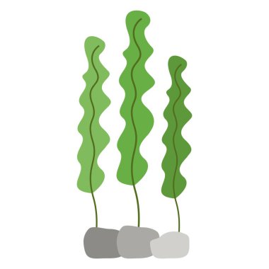 Spiulina deniz yosunu düz clipart vektör çizimi