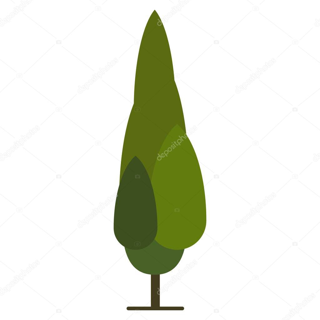 italian cypress tree flat clipart vector illustration