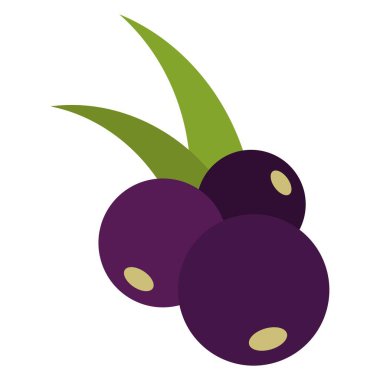 acai berry düz clipart vektör çizimi