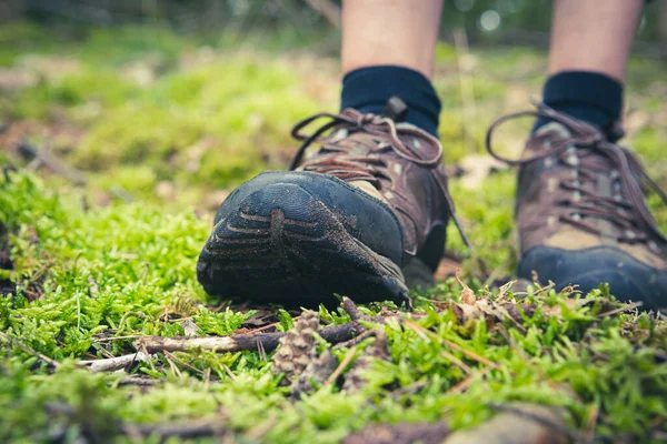 Ormanda yürüyüş yapan kadın yolcuların alçak yürüyüş ayakkabıları. Ön görünüm.