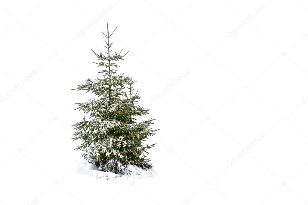  Illuminated Christmas tree in the snow isolated on white background.