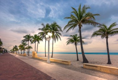 Hollywood plajı, Florida. Kumsalda hindistan cevizi palmiyeleri ve alacakaranlıkta sokak lambaları..