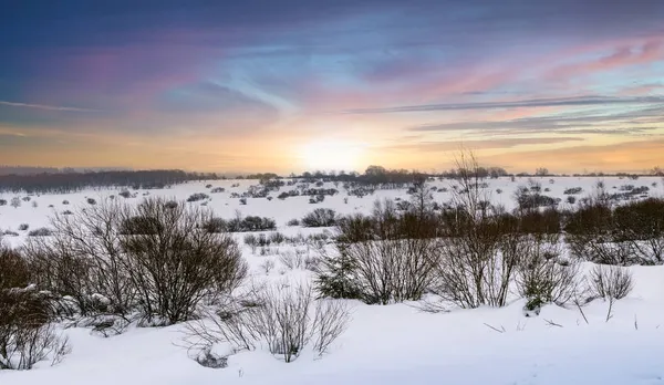 Paisaje Del Prado Invierno Con Nieve Hermoso Cielo Ardenas Bélgica — Foto de Stock