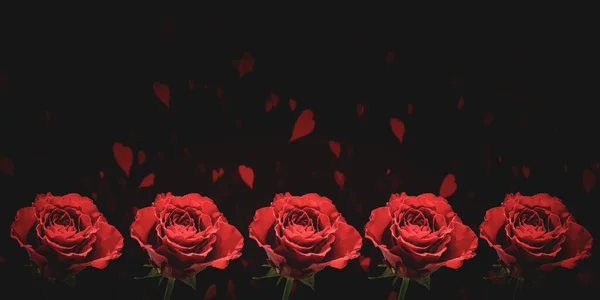 Fronteira Rosas Vermelhas Fundo Romântico — Fotografia de Stock