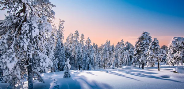 Paisaje Nieve Invierno Finlandia Laponia — Foto de Stock