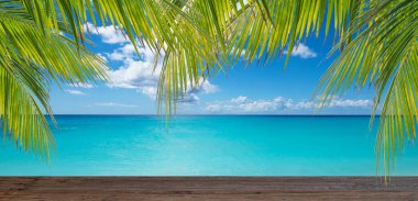 Tropikal arka plan. Üstünde palmiye dalları olan ahşap bir masa. Ürün sunumu ve reklamcılık için bir model. Yaz yolculuğu konsepti.