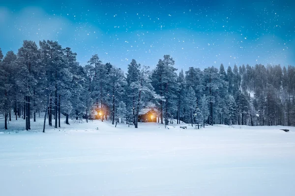 Inverno Floresta Neve Paisagem Noite Lapland Finlândia — Fotografia de Stock