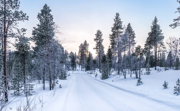 Paisaje Invernal Con Carretera Nevada Entre Los Árboles Finlandia Escandinavia —  Fotos de Stock