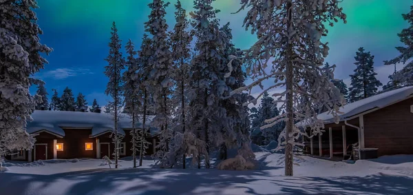 Ciemna Noc Północnymi Światłami Śnieżnymi Drzewami Laponii Finlandia — Zdjęcie stockowe