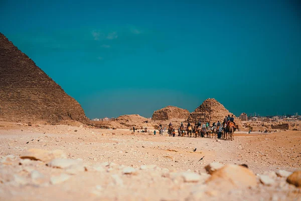 Turistas Montando Camelos Comboio Torno Das Grandes Pirâmides Giza Vista — Fotografia de Stock