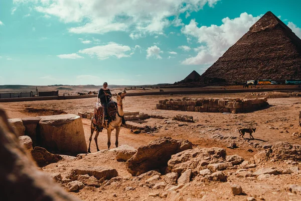 Kair Egipt Grudzień 2021 Sprzedawca Jeźdźców Wielbłądzie Zbliża Się Targować — Zdjęcie stockowe