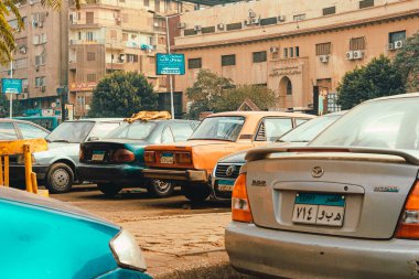 Kahire Mısır Aralık 2021 Sokak köpeği park halindeki bir arabanın çatısında uyuyor. Aç hayvanların sembolü, şehir merkezini çevreleyen yoksulluk.