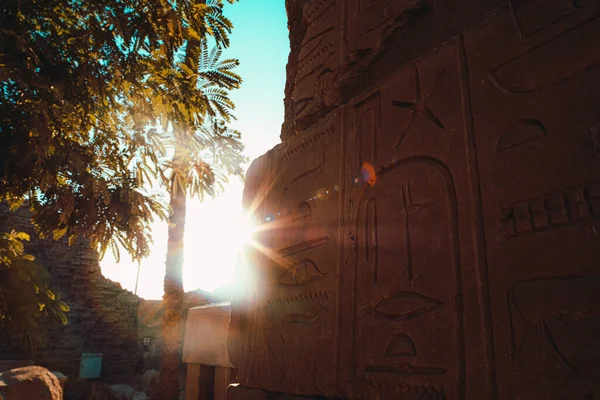 Över Vägg Täckt Antika Egyptiska Hieroglyf Symboler Solsken Träffar Linsen — Stockfoto