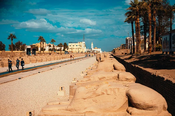 Luxor Egipto Enero 2022 Vista Del Callejón Las Esfinges También — Foto de Stock