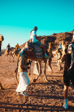 Hurghada Mısır Ocak 2022 Çölün ortasında develere binen turistler. Bedevi köyünde deve sürmenin popüler turistik cazibesi