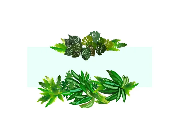 热带绿叶植物灌木花卉布置自然布局背景为边界和框架 白色背景为浅蓝色复制空间 — 图库矢量图片