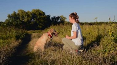 İtaatkar Golden Retriever köpeği ve sahibinin pençe komutası uygulaması. Mutluluk ve dostluk. evcil hayvan ve kadın.