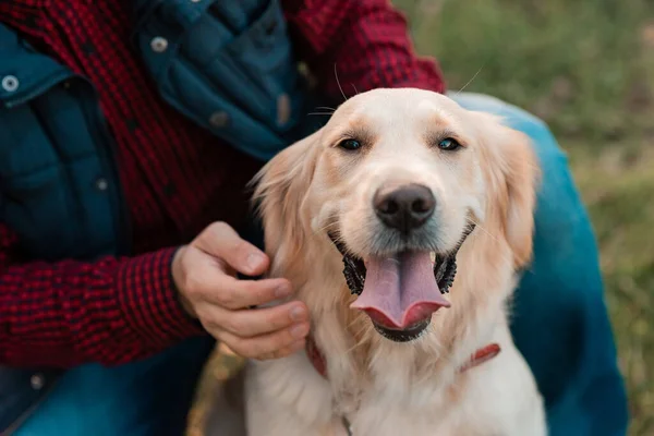 Golden retriever perro con el propietario en un paseo al aire libre Imagen De Stock
