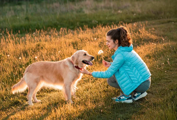 Hermosa Chica Femenina Jugando Con Perro Golden Retriever Pradera Primavera — Foto de Stock