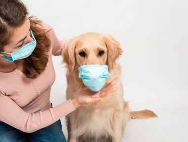 Tıbbi korumalı yüz maskesi takan kadın ve köpek Golden Retriever izole edilmiş. Beyaz arka planda tıbbi maskesi olan bir köpek kameraya bakıyor. Evcil hayvan hijyen kavramı