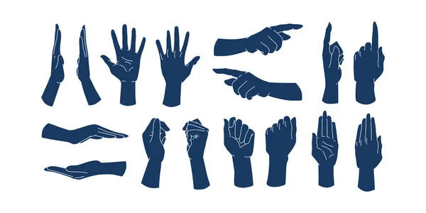 Çizgi film el koleksiyonu. Farklı pozisyonlar. Açılar, referanslar clipart şablonu. Bilek, avuç içi