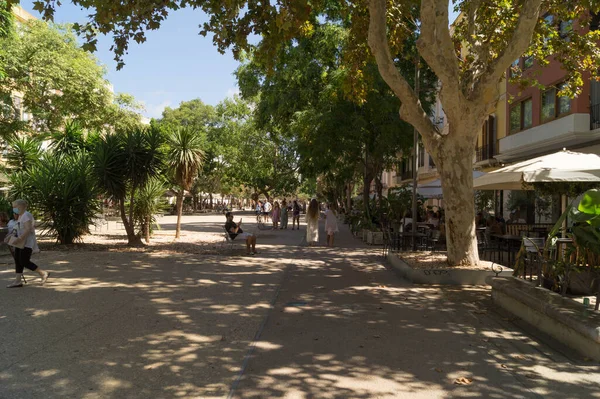 西班牙巴利阿里群岛Ibiza市中心的Paseo Vara Rey 人们带着大树和长椅在市镇的中央广场上散步 — 图库照片