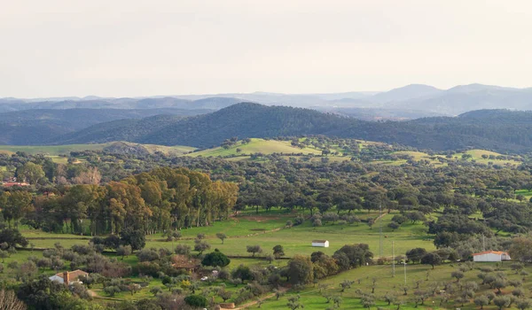 Paisagem Rural Com Prados Pastagens Bosques Florestas Serra Aracena Andaluzia — Fotografia de Stock