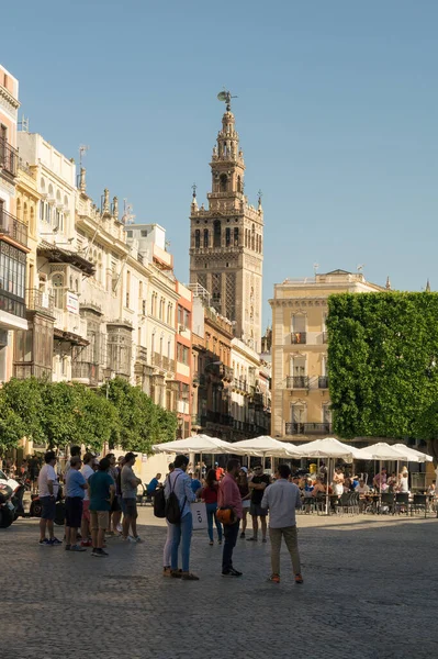 Plaza Nueva Meydanı Nda Sevilla Endülüs Spanya Giralda Manzaralı Bir — Stok fotoğraf