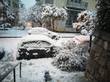 Şiddetli bir kar yağışı sırasında uzun bir ağaç arabaların arasına düştü.