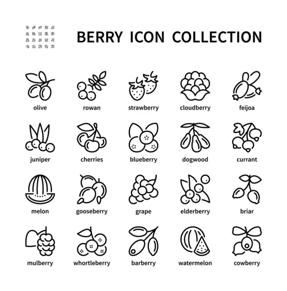 Berry Ensemble Simple Icônes Vectorielles Linéaires Symbole Aliments Sains Naturels — Image vectorielle