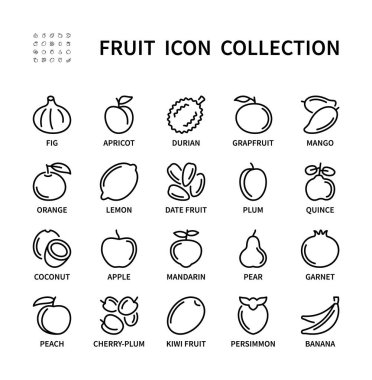 Meyve vektörü doğrusal simgeleri. Basit sağlıklı yiyecek seti. İncir, muz, limon, elma, mango, portakal, şeftali, durian ve daha fazlası. Web siteleri ve mobil için izole edilmiş meyve simgesi koleksiyonu.