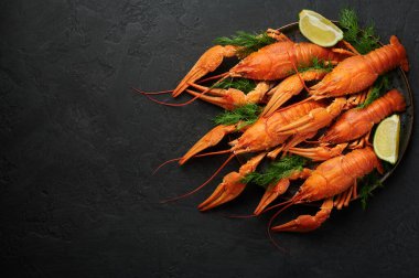 Boiled Crayfish on black plate on dark slate table top. Red crawfish with green dill and lime is popular party dish. Copy space. Top view
