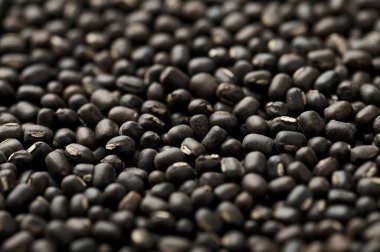 Black Gram or Urad Beans or Mung Beans texture. Vigna Mungo is popular indian cuisine food ingredient.