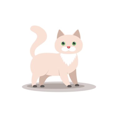 kedi simgesi, vektör düz illüstrasyon, beyaz arkaplanda evcil hayvan