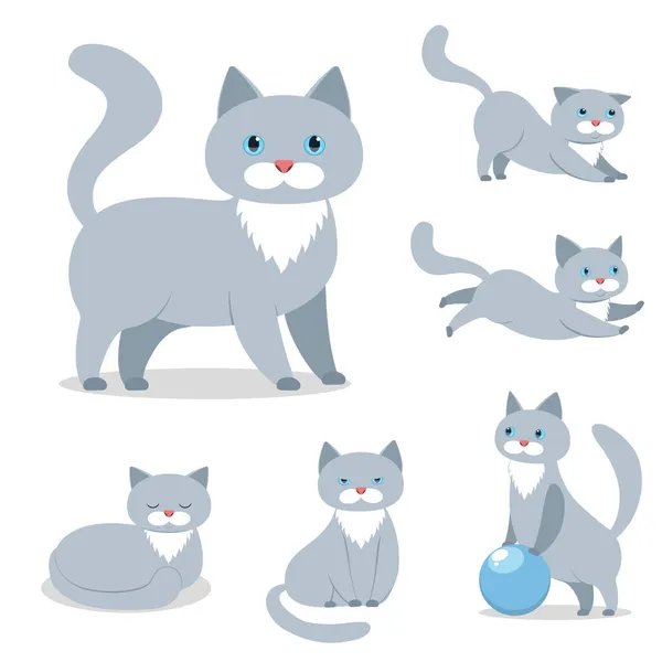 Grey Cat Various Situations Vector Illustration Pet Set Icons White — Stock Vector
