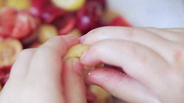 Criança Descascando Cerejas Prepara Compota — Vídeo de Stock