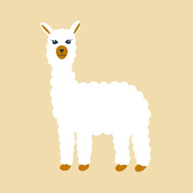 Beyaz tüylü lama izole bir nesne. Evcil hayvan. Sakin sakin lpaka ayakta duruyor. Düz vektör illüstrasyonu.