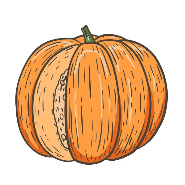 Calabaza redonda de una sola naranja, cosecha de otoño. — Archivo Imágenes Vectoriales