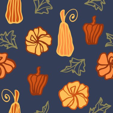 Karanlık bir gecenin arka planında, pürüzsüz bir desen olan balkabakları. Farklı şekil ve renklerde sonbahar balkabakları. Sonbahar hasat şablonu. Duvar kağıdı, kumaş ve sonbahar ambalajı için arkaplan.