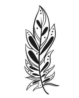 Şablon ve elementlerle süslenmiş kuş tüyü, vektör illüstrasyonu.