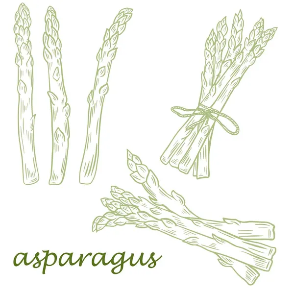 Jeu de croquis à la main d'asperges, gousses et grappes simples, illustration vectorielle. — Image vectorielle