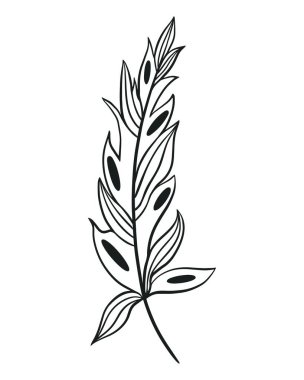 Güzel tek tüy, izole bir nesne. Beyaz arkaplanda kuş tüyü, vektör illüstrasyon el yapımı grafikler.