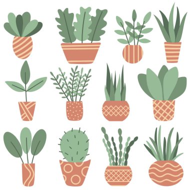Saksıdaki ev bitkileri, izole nesneler. Taze doğal pencere bitkilerinin toplanması, iç unsurlar. Kapalı alanda büyüyen bitkiler, düz vektör çizimi.